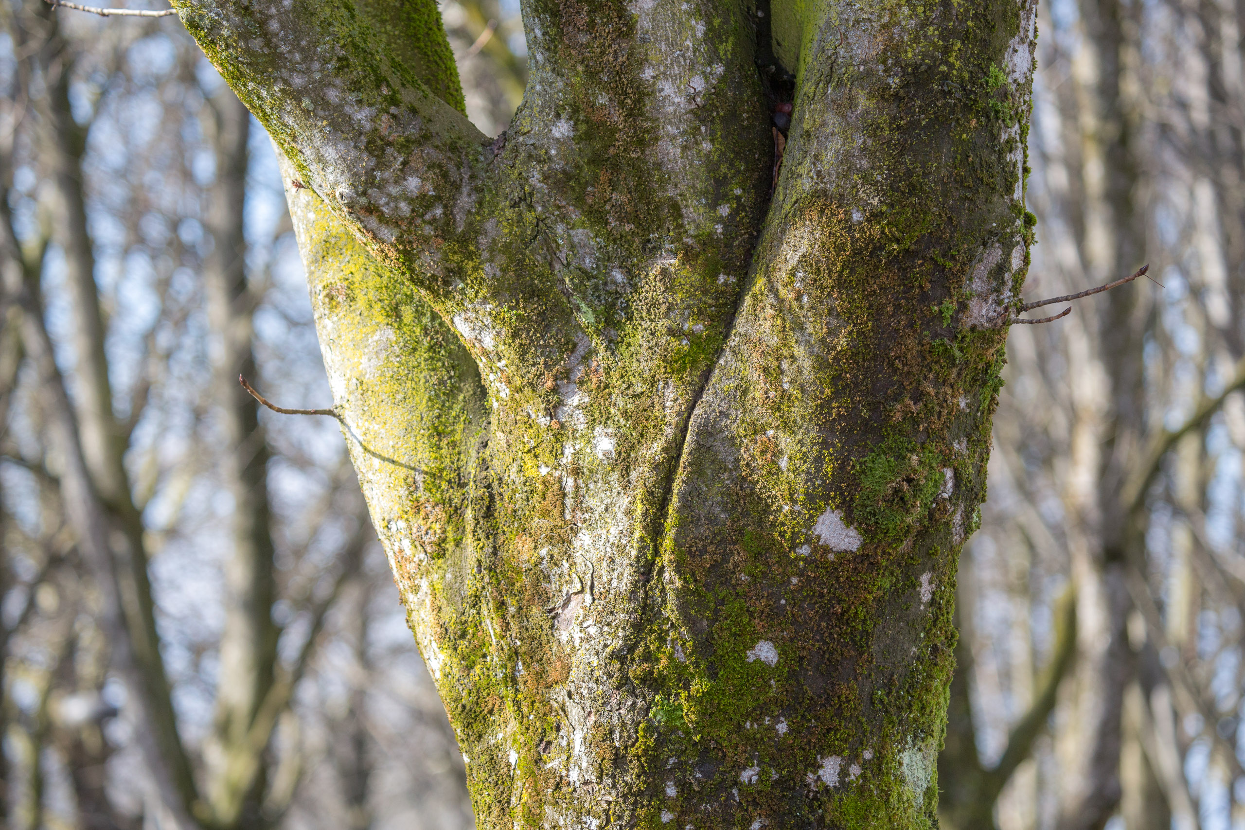 20150228151329 RD 85347